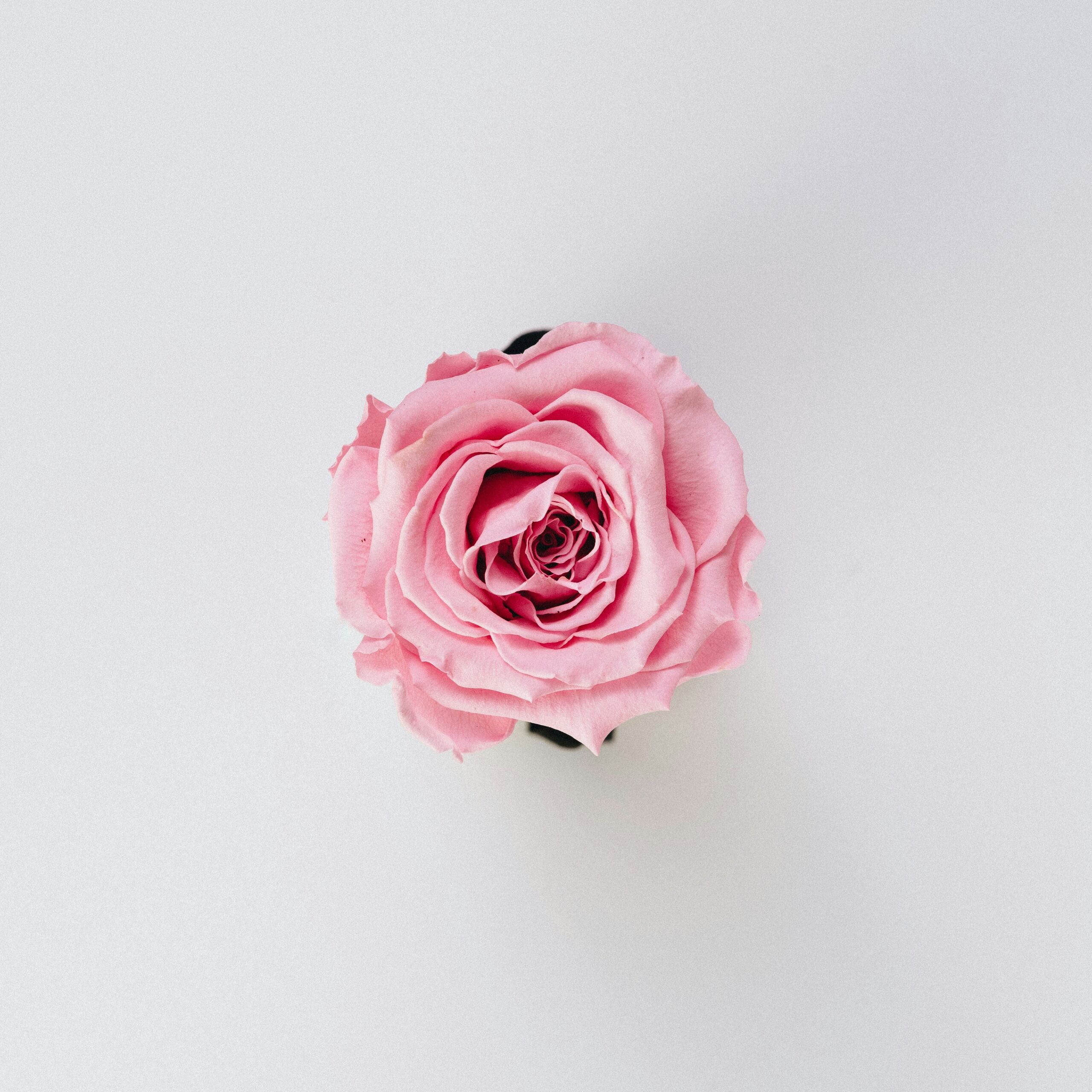 bence-balla-schottner-x68FaxTyx90-unsplash